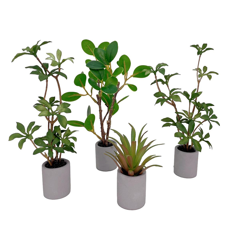 Antike Puppenhaus Miniatur Top – Bonsai Garden Ideas Bewertung und Preis