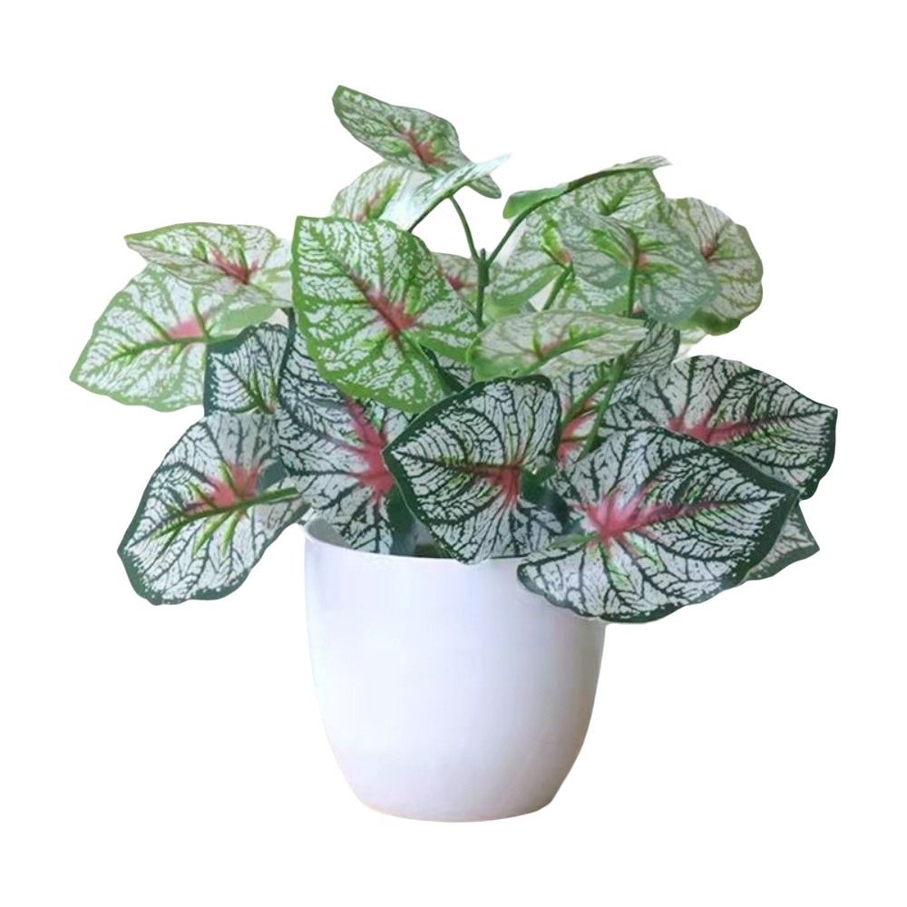 Mini Künstliche Topfpflanzen B – Bonsai Garden Ideas Bewertung und Preis